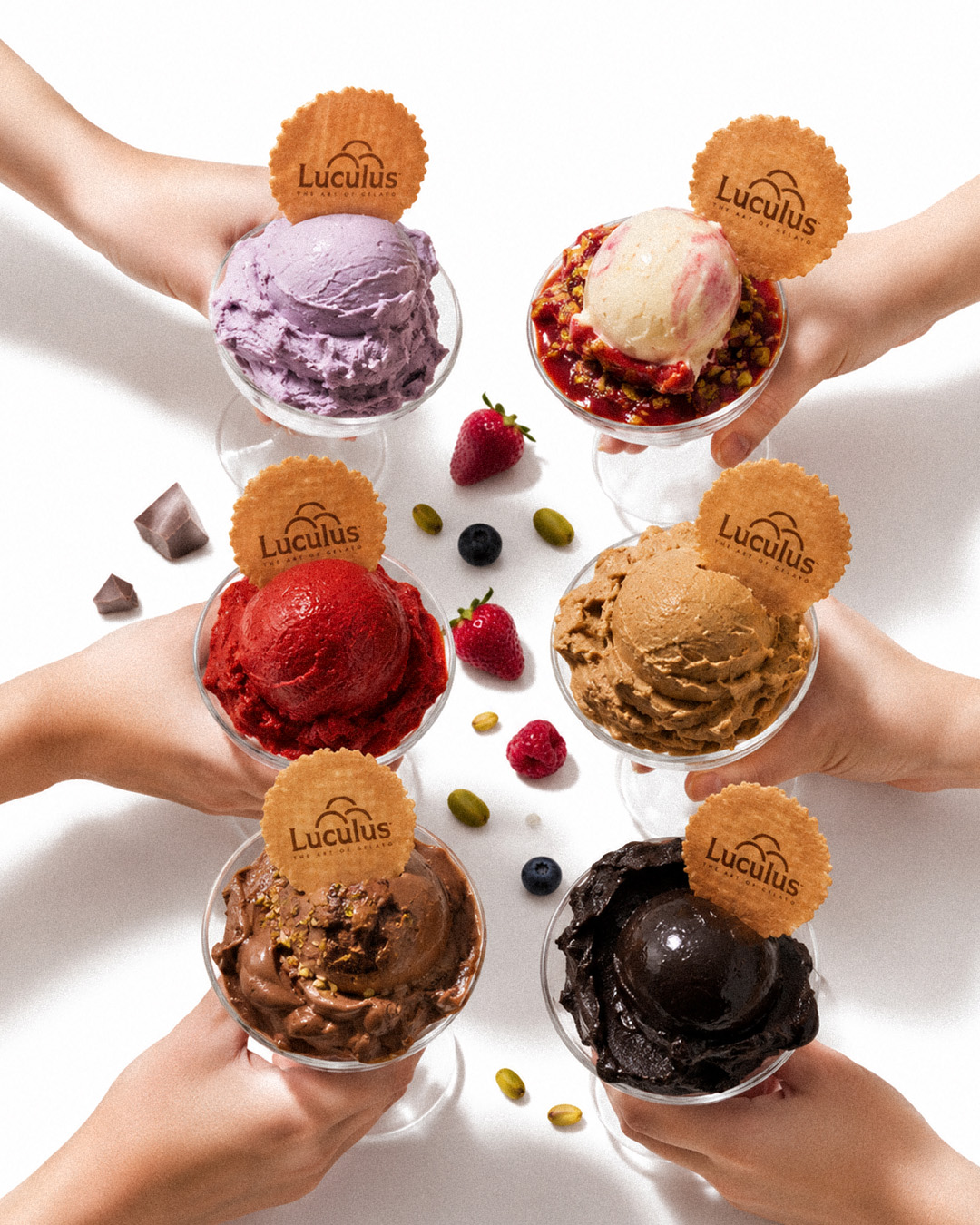 luculus gelato